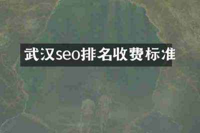 武汉seo排名收费标准