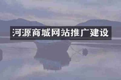 河源商城网站推广建设