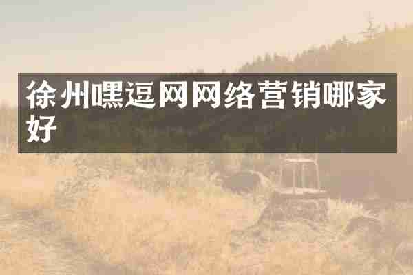 徐州嘿逗网网络营销哪家好