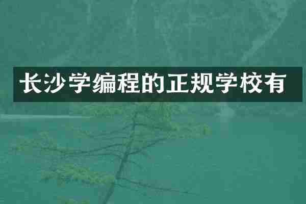 长沙学编程的正规学校有