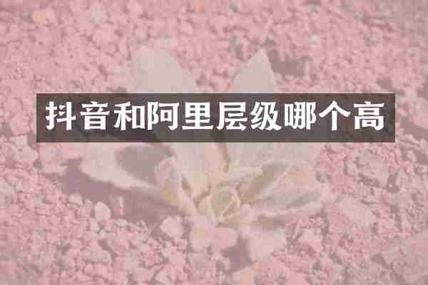 抖音和阿里层级哪个高