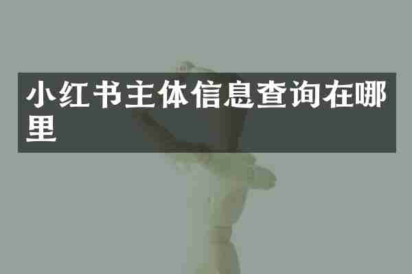 小红书主体信息查询在哪里