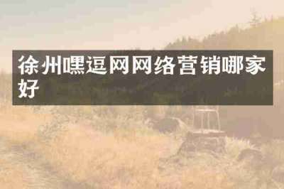 徐州嘿逗网网络营销哪家好