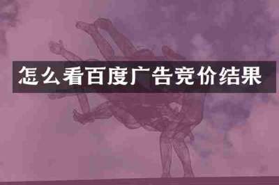 怎么看百度广告竞价结果