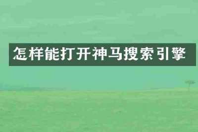 怎样能打开神马搜索引擎