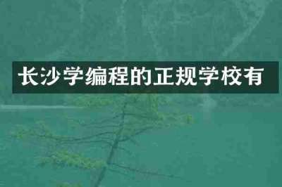 长沙学编程的正规学校有