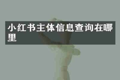 小红书主体信息查询在哪里