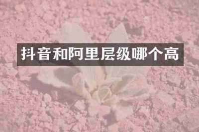 抖音和阿里层级哪个高