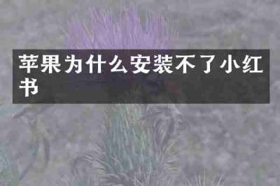 苹果为什么安装不了小红书