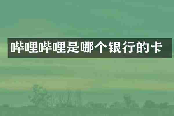 哔哩哔哩是哪个银行的卡