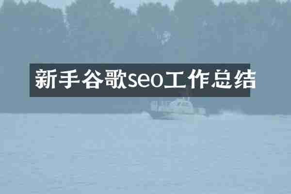 新手谷歌seo工作总结