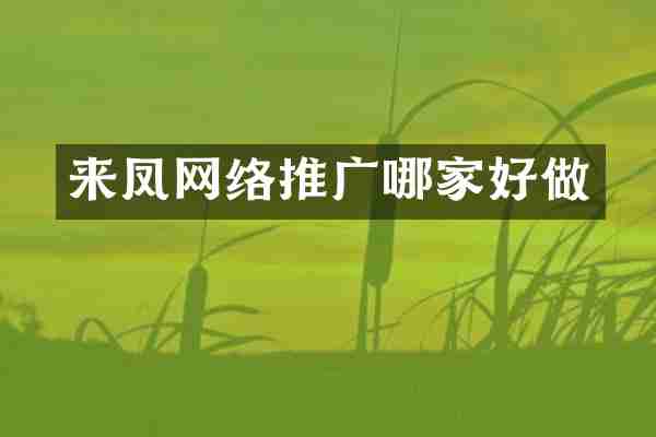 来凤网络推广哪家好做