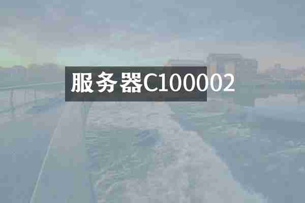 服务器C100002