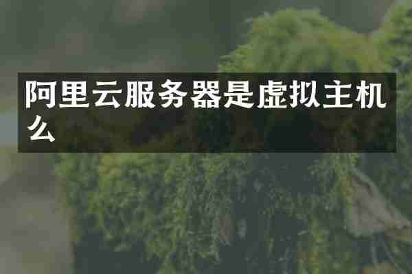 阿里云服务器是虚拟主机么