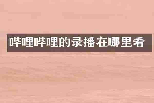 哔哩哔哩的录播在哪里看