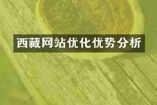 西藏网站优化优势分析