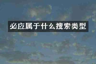 必应属于什么搜索类型