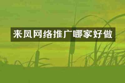 来凤网络推广哪家好做
