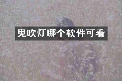 鬼吹灯哪个软件可看