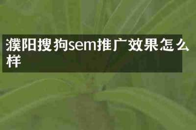 濮阳搜狗sem推广效果怎么样