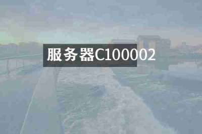 服务器C100002