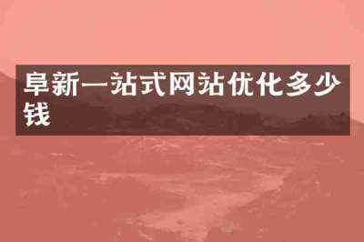 阜新一站式网站优化多少钱