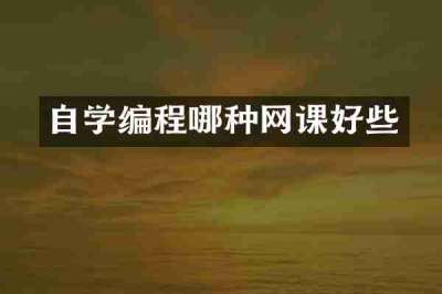 自学编程哪种网课好些