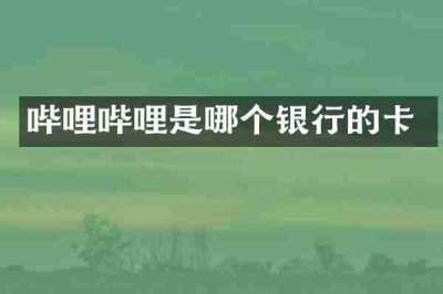 哔哩哔哩是哪个银行的卡