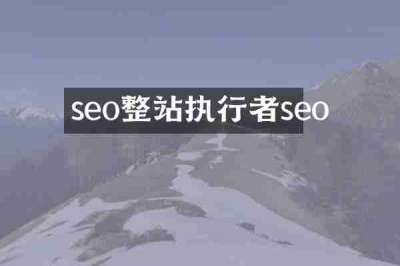 seo整站执行者seo