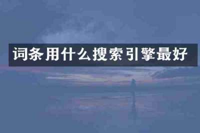 词条用什么搜索引擎最好