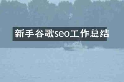 新手谷歌seo工作总结
