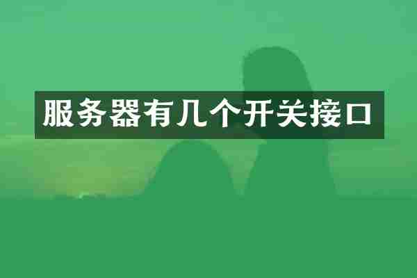 服务器有几个开关接口