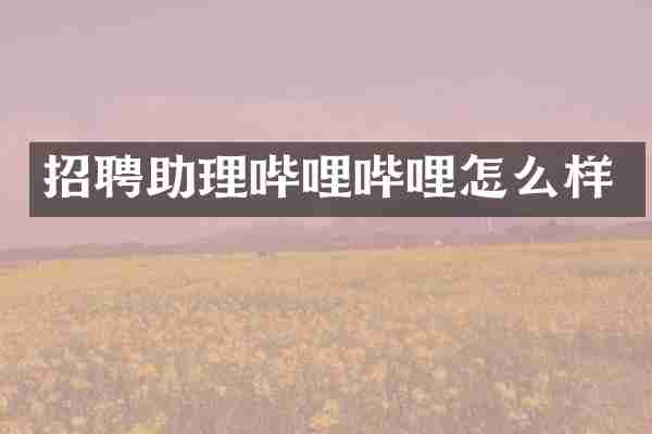 招聘助理哔哩哔哩怎么样