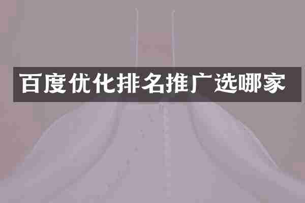 百度优化排名推广选哪家