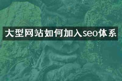 大型网站如何加入seo体系