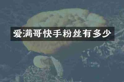 爱满哥快手粉丝有多少