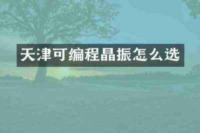 天津可编程晶振怎么选