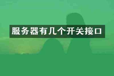 服务器有几个开关接口