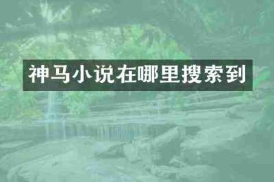 神马小说在哪里搜索到