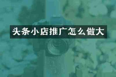 头条小店推广怎么做大