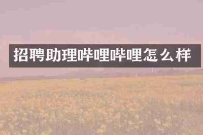 招聘助理哔哩哔哩怎么样