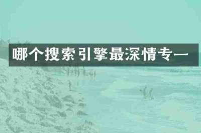 哪个搜索引擎最深情专一