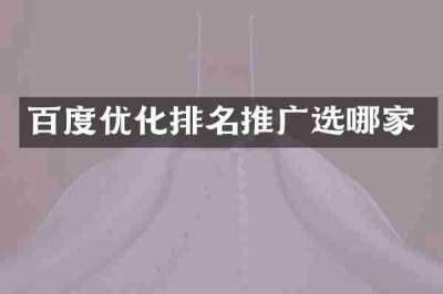 百度优化排名推广选哪家