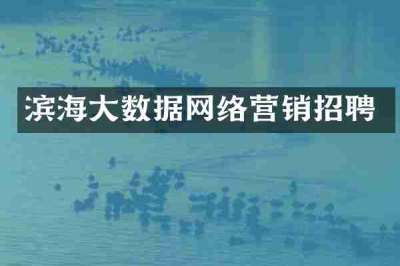 滨海大数据网络营销招聘