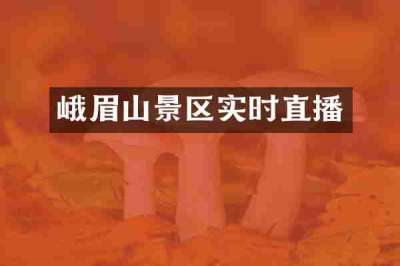 峨眉山景区实时直播