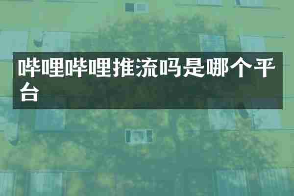 哔哩哔哩推流吗是哪个平台