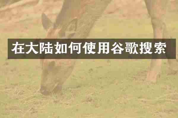在大陆如何使用谷歌搜索