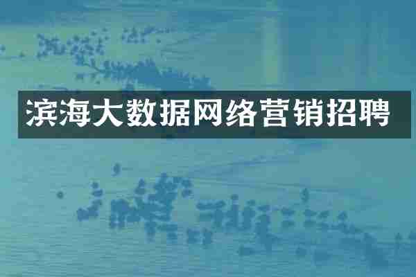 滨海大数据网络营销招聘