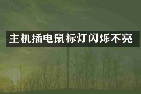 主机插电鼠标灯闪烁不亮