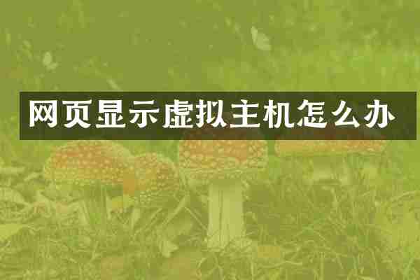 网页显示虚拟主机怎么办
